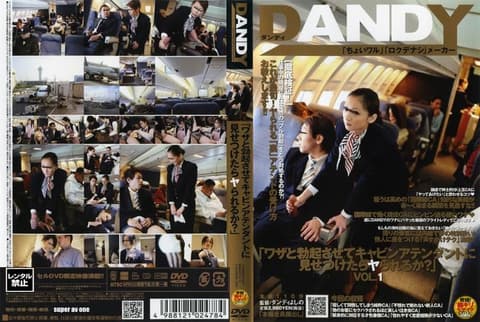 “如果我故意勃起并展示给空姐看，她会和我发生性关系吗？” DANDY-079